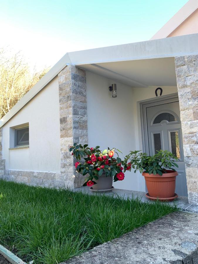 Markovic Village Apartments Ulcinj Buitenkant foto